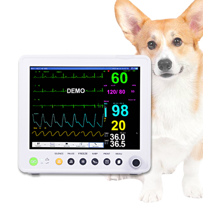 Pil/AC Güç Kaynağı ile Taşınabilir Veteriner EKG Makinesi